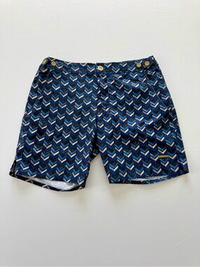 Parke & Ronen Blue Chevron Swim Trunks